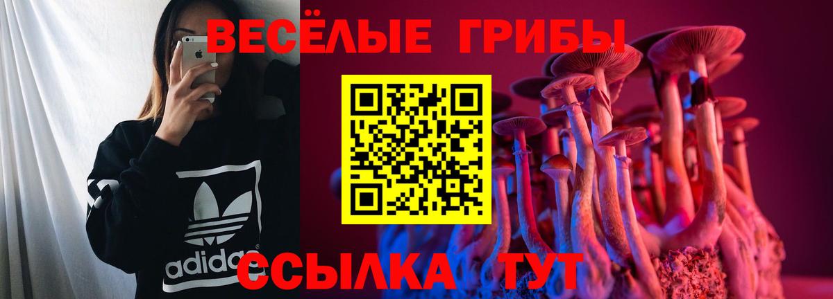 Нижнеудинск  Галлюциногенные грибы Psilocybe  Вход с VPN 