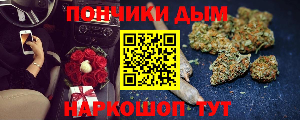 Нижнеудинск  Марихуана семена  Вход с VPN  Каннабис планчик  Канабис сатива 